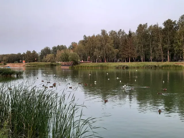 Vodoyom Parka 30 Let Vlksm