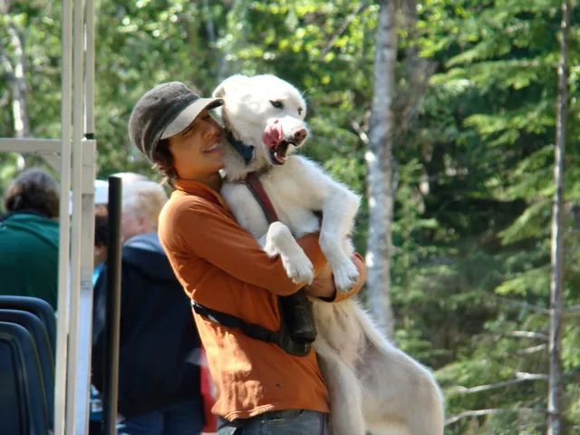 Alaska Sled Dog Adventures