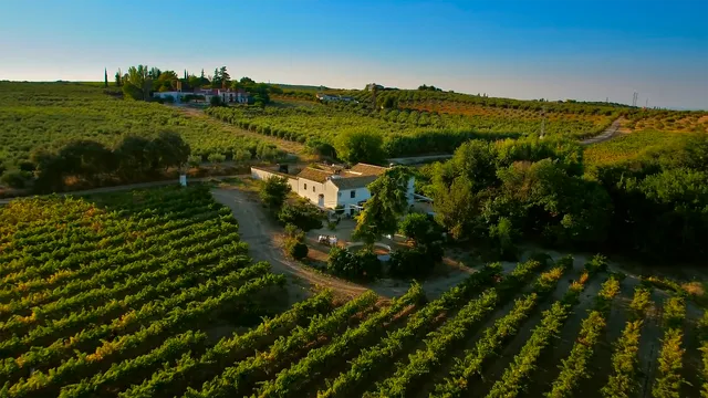 Bodega Boutique Finca Buytron