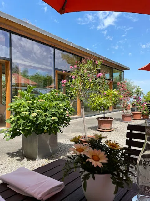 Villa am See by Sandro Lüthi