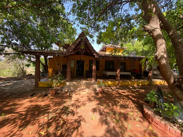 LivingStone - Reflektions