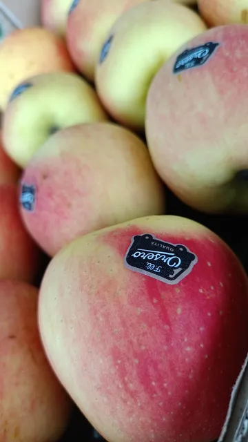 Frutta e Verdura Roberto Gallo