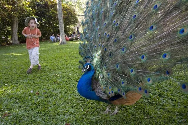 Rescate Wildlife Rescue Center
