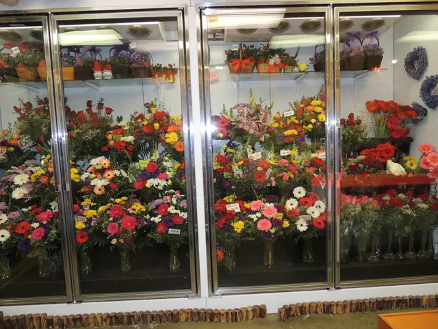 Flower Outlet