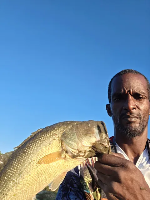 State Game Lands Number 39