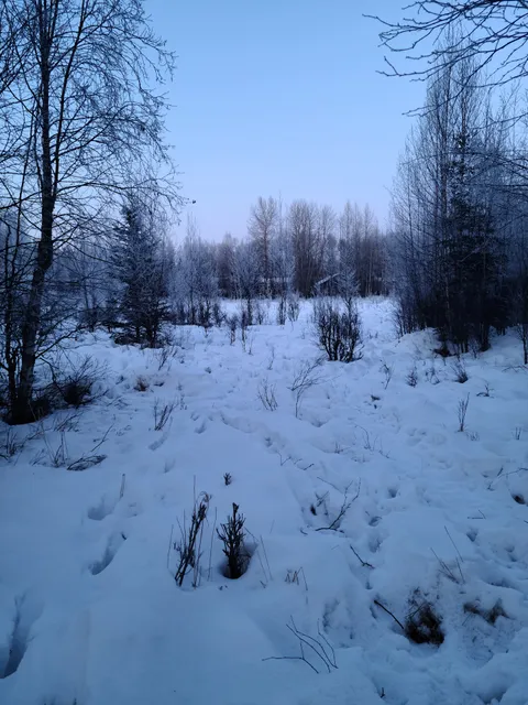 Helen Louise McDowell Sanctuary