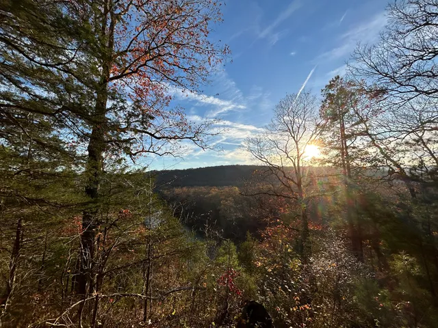 Ozark National Forest