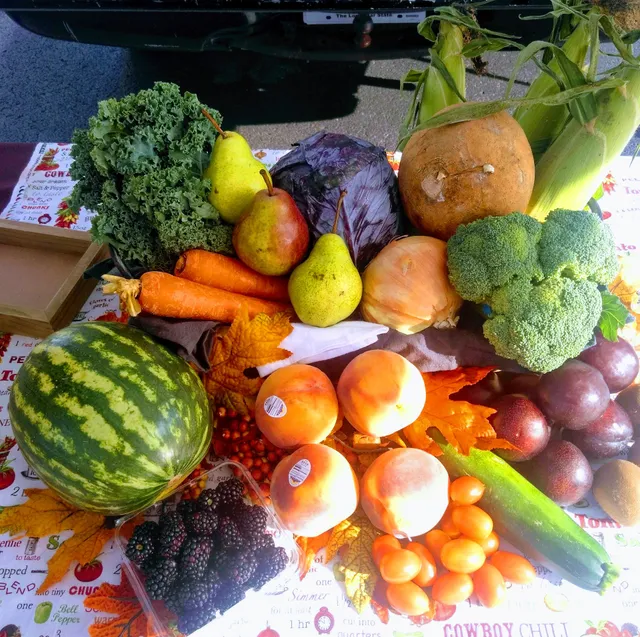 Farm to Fork Colorado