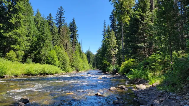 American Forks Campground