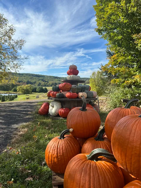 Angevine Christmas Tree Farm