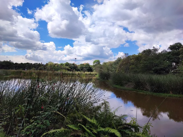 Santa María del Lago