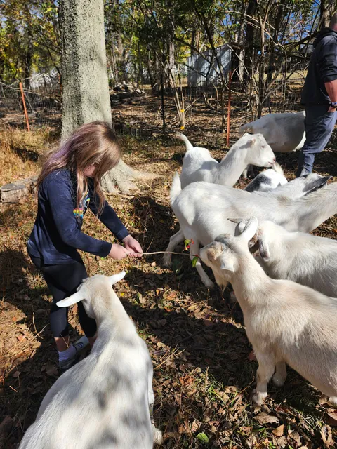 Providence Hill Farm