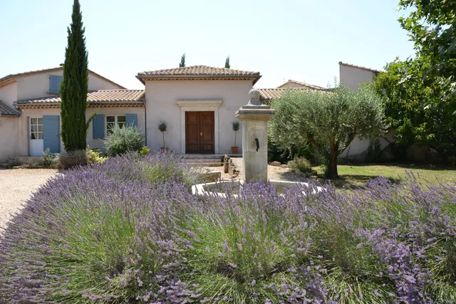 At the Time of Cherries