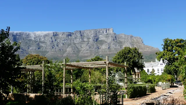 The Company's Garden - Rose Garden