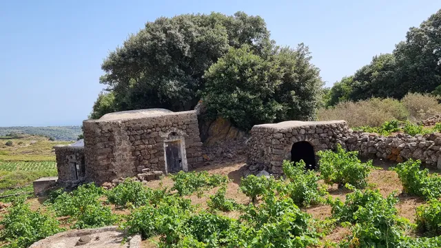 Tombe bizantine di Gibbiuna