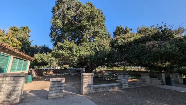 Oak Tree Picnic Area