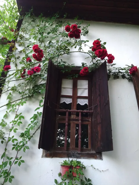 Deligözler Bağ Evi