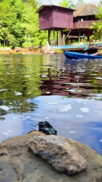 Abraço Verde Complexo Turístico