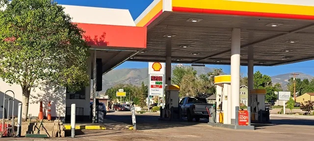 Picadilly Circus Pizza