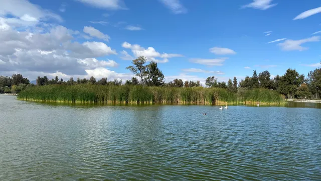 Lago de San Juan de Aragón