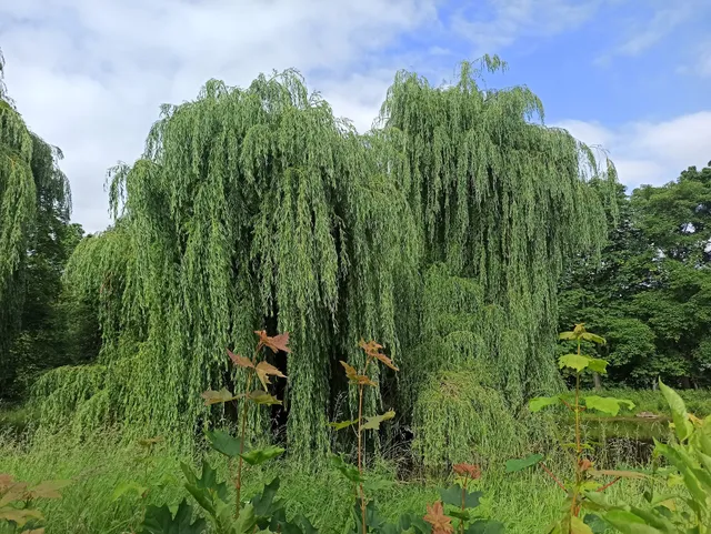 Ferienwohnung Lahann