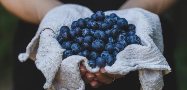 Berry Brothers Retail- M-40