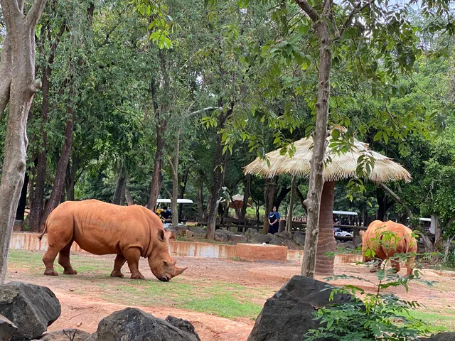 Nakhon Ratchasima Zoo (Korat Zoo)
