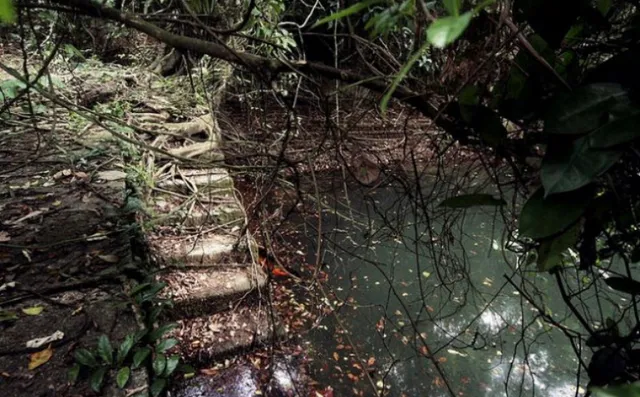 Keppel Hill Reservoir