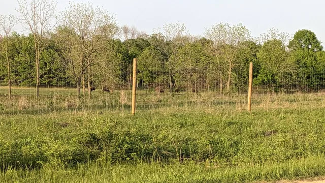 Spring Lake Park Reserve