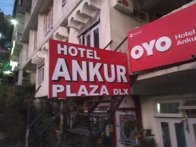 Hotel Ankur Plaza