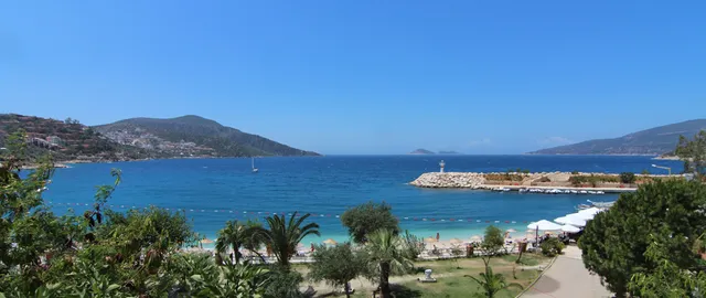 Black Lion Property Services