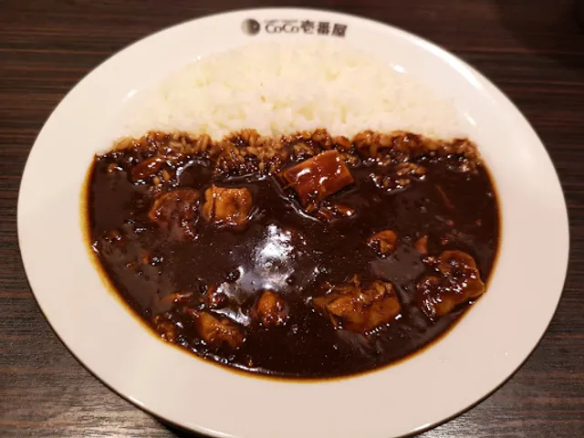 CoCo Ichibanya Naka-ku Osu