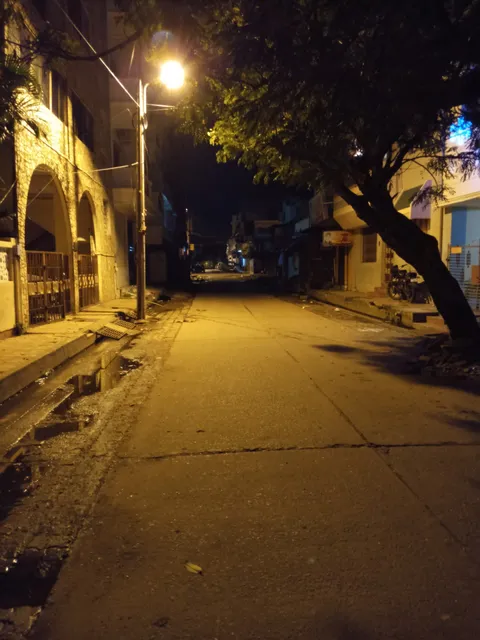 The Wildflowers of Walden