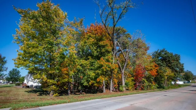 City of Moscow Mills