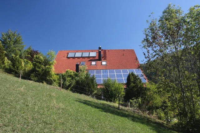 Silberdistel - Valdet Azemaj