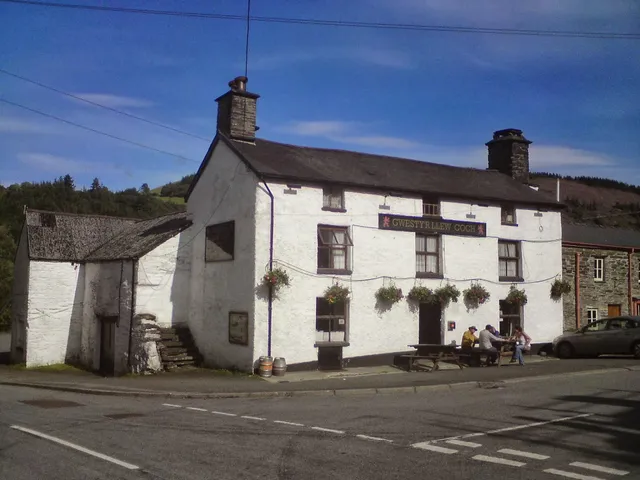 Y Llew Coch - The Red Lion