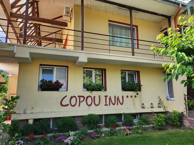 Copou Inn - 3*