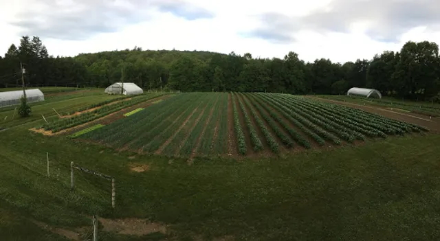 Sisters Hill Farm