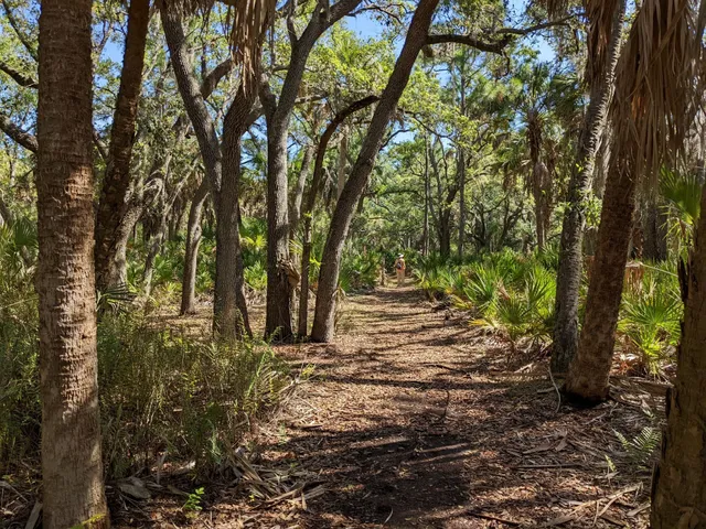 Pam Callahan Nature Preserve