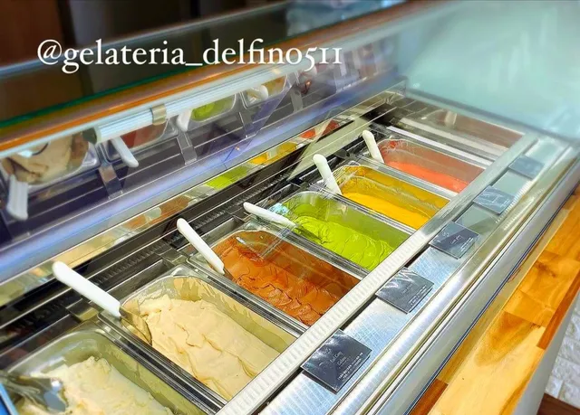 GELATERIA & DELFINO 511