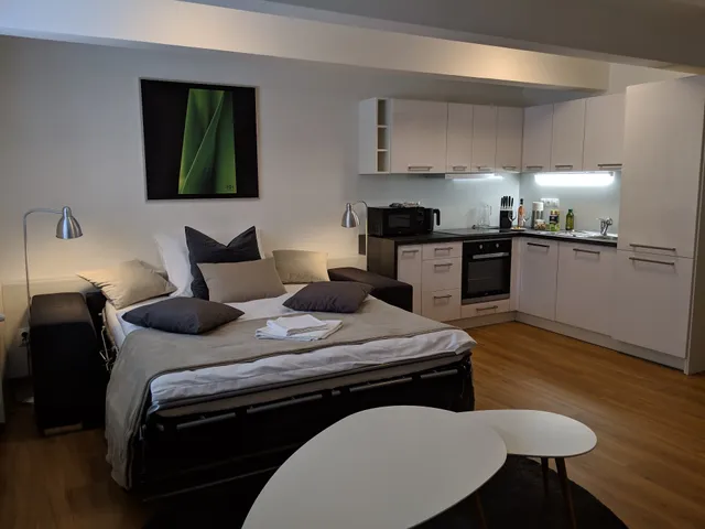 Apartments 4U: Březinova Apartments