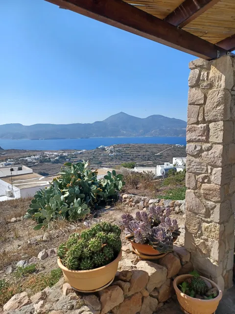 Anastasia's Windmill