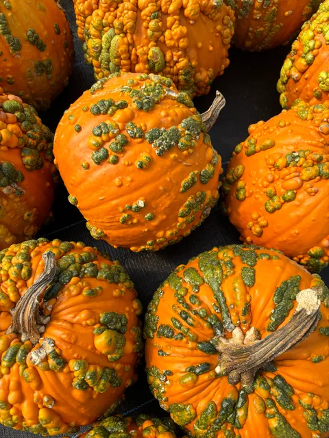 Carpenter's Farm Enterprises