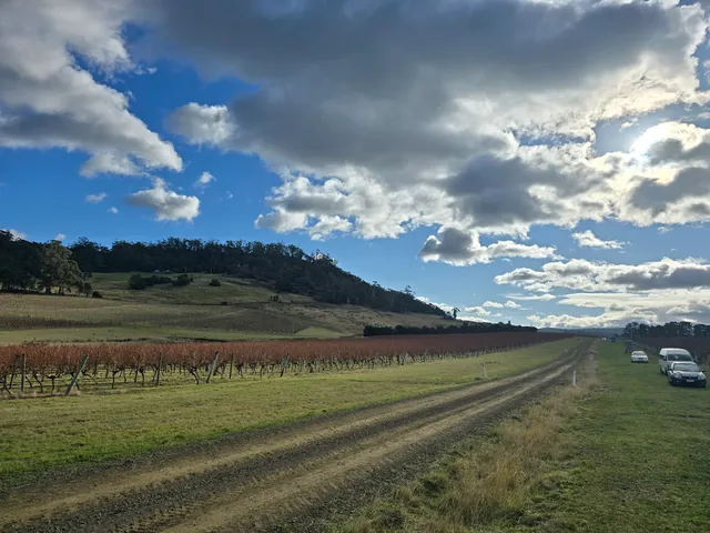 Devil's Corner Scenic Farm Lookout