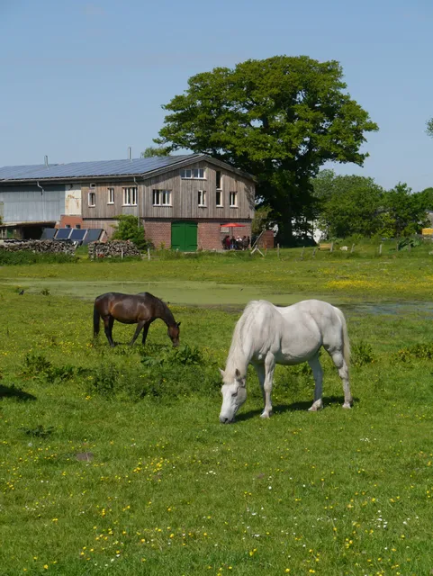 Ökologische Ferienwohnungen Rossee