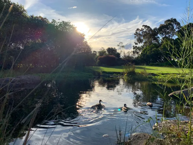 Australian Native Garden