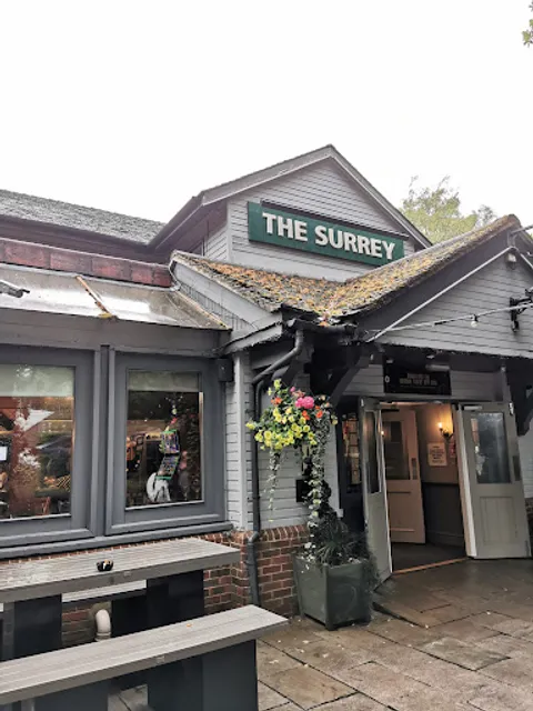 The Surrey