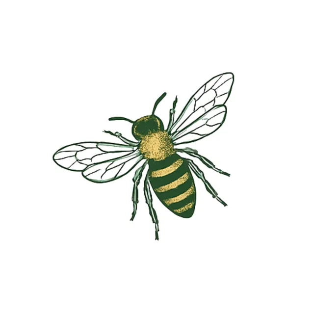 The Bees Knees Waxing Studio