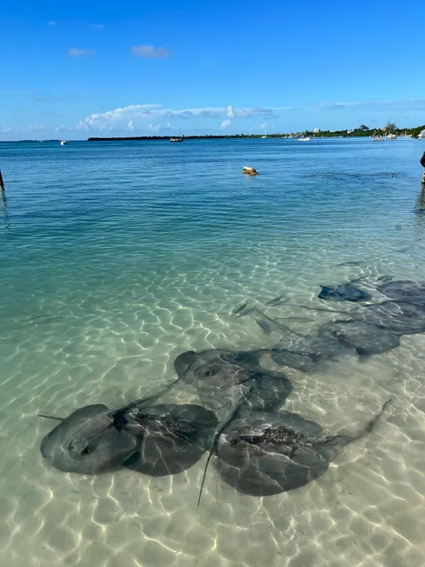 Stingray Beach