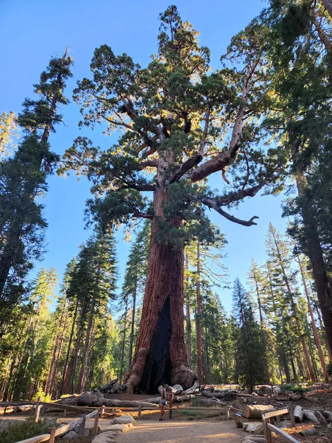 Mariposa Park California Mariposa